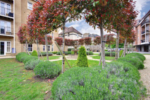 Communal Garden- click for photo gallery